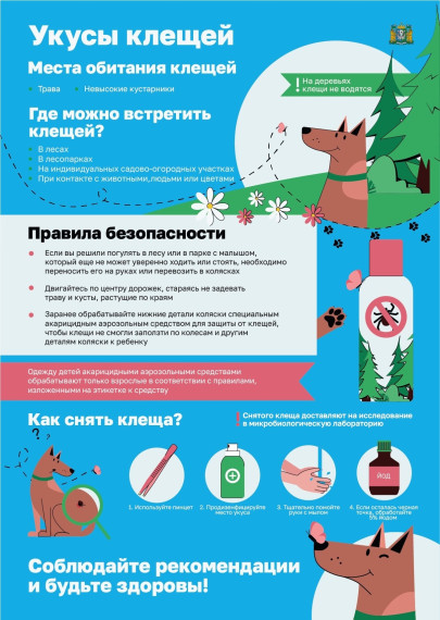 Памятка при укусах клещей!.